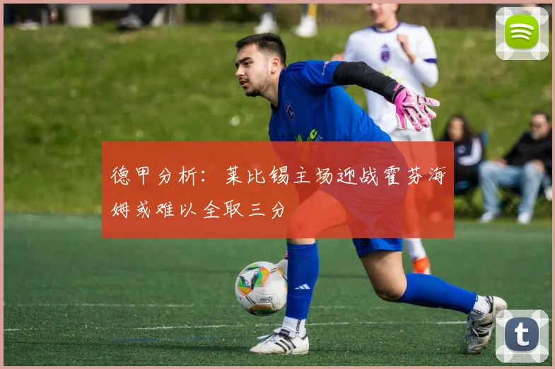 德甲分析：莱比锡主场迎战霍芬海姆或难以全取三分