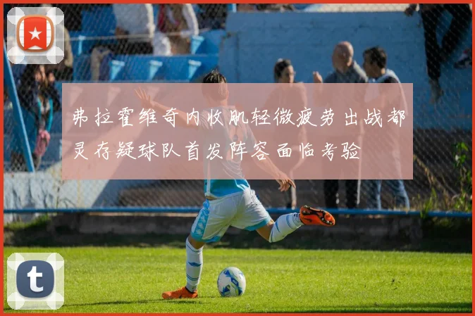 弗拉霍维奇内收肌轻微疲劳出战都灵存疑球队首发阵容面临考验